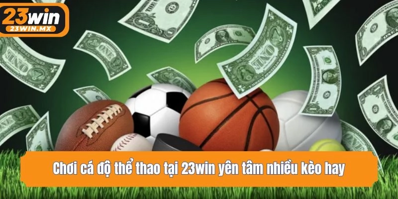 Chơi cá độ thể thao tại 23win yên tâm nhiều kèo hay